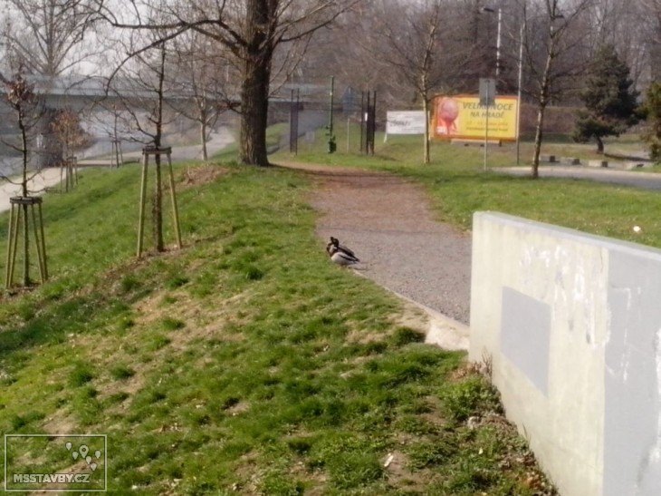 ostravice centrum
