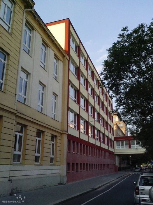 maticni