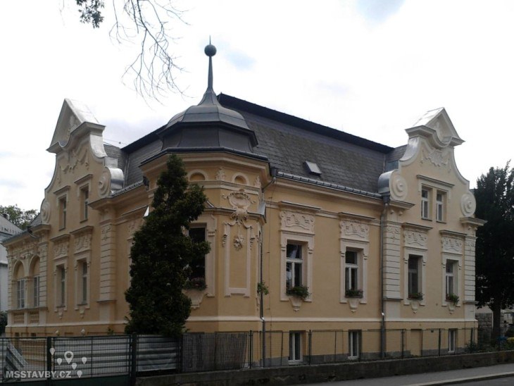 ms dvorakova