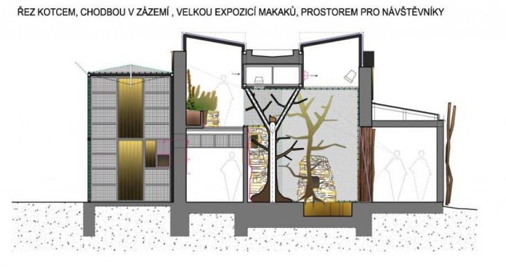 zoo