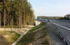 rudna