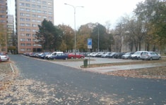 šalamouna 1