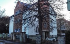vitezna