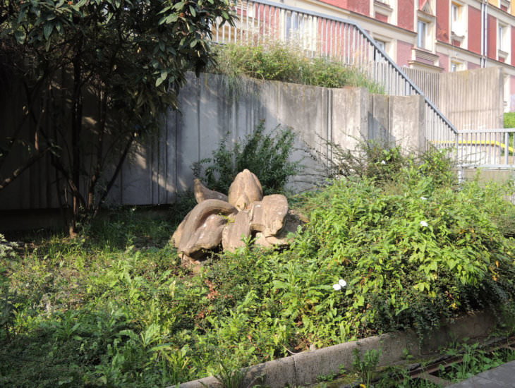Pavel Chráska: Květ orchideje (?), náměstí Republiky, 1982–1985 (foto Jakub Ivánek)