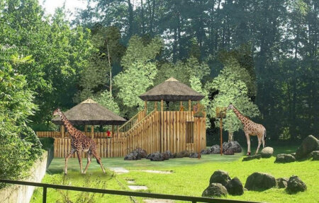 zoo safari