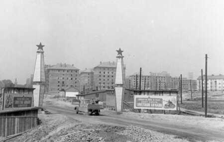 1951