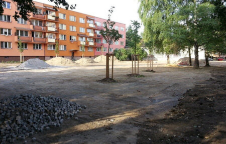 šalamouna 13