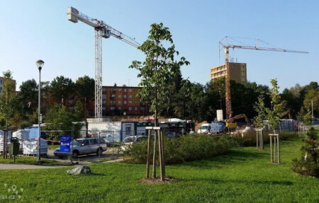 sokolovska-1
