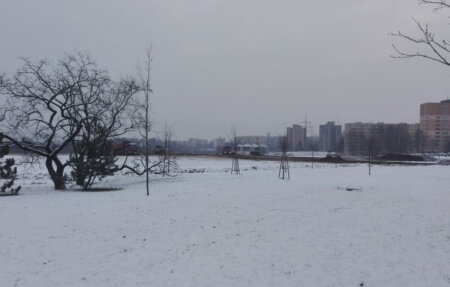 prubezna