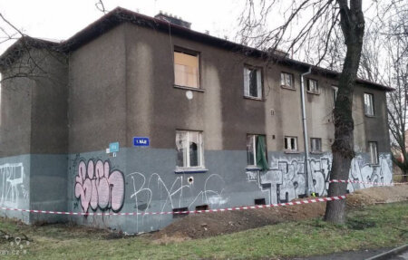bílá 2