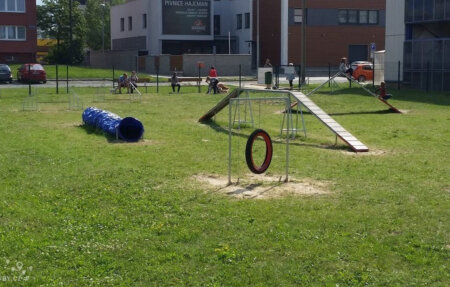 agility 4
