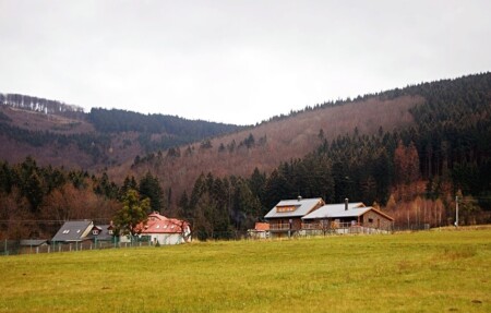 kozlovice