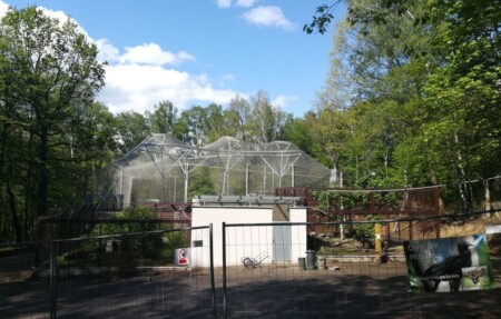 zoo
