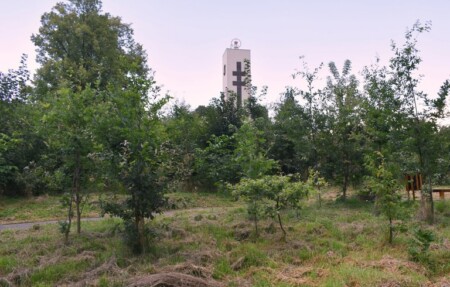 image_large