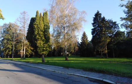 letiste mosnov