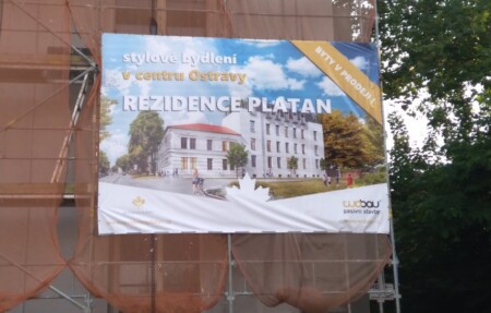 platan