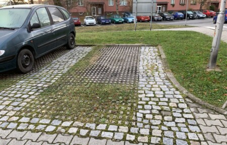 parkovani