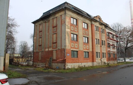 palecek