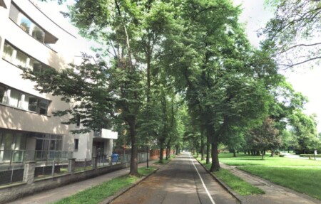 sadova_7
