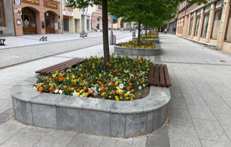 opava