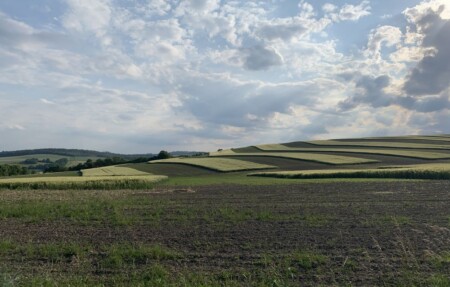 bilovec
