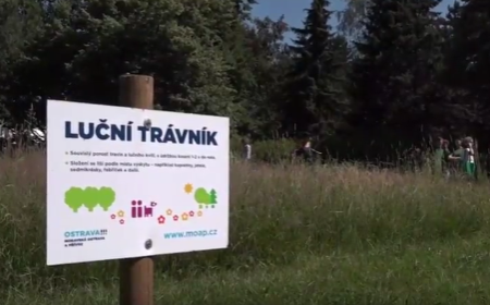 lucni-travnik