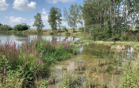 vetrkovice