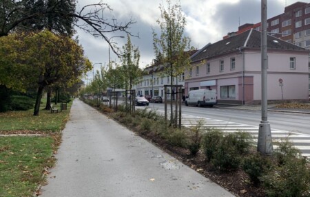 jesenicka bruntal