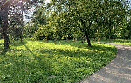 mestske sady opava