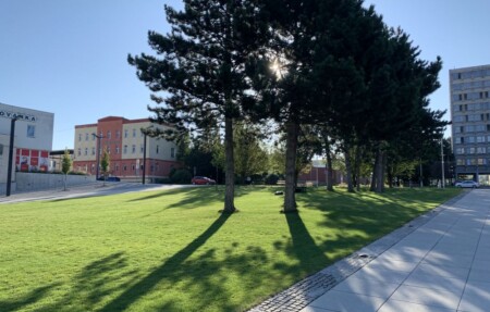 koprivnice sekacka