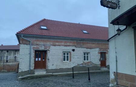 freudova