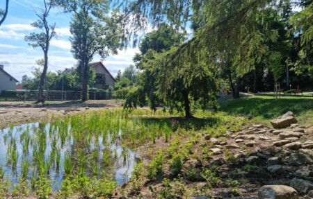 park bedricha smetany