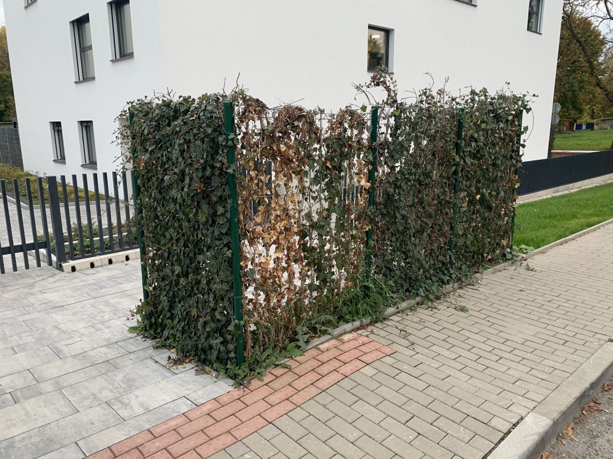Novostavba developerského projektu Kameny Na Burni, Slezská Ostrava.